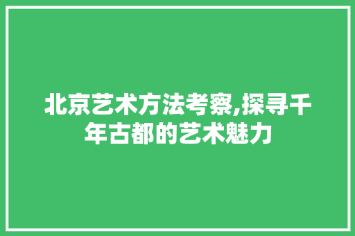 北京艺术方法考察,探寻千年古都的艺术魅力