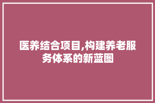 医养结合项目,构建养老服务体系的新蓝图