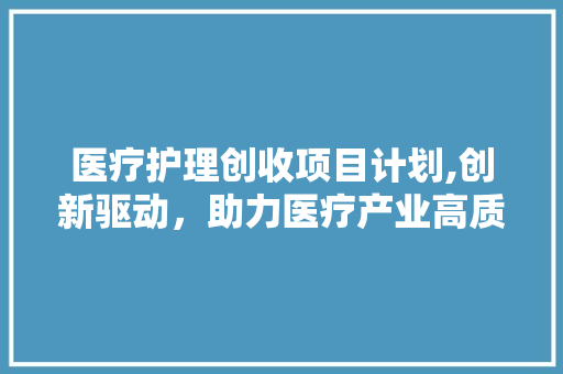 医疗护理创收项目计划,创新驱动，助力医疗产业高质量发展