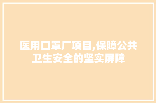 医用口罩厂项目,保障公共卫生安全的坚实屏障