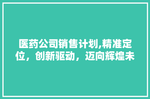 医药公司销售计划,精准定位，创新驱动，迈向辉煌未来