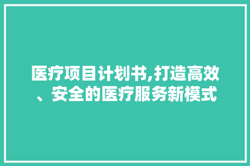 医疗项目计划书,打造高效、安全的医疗服务新模式