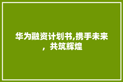 华为融资计划书,携手未来，共筑辉煌