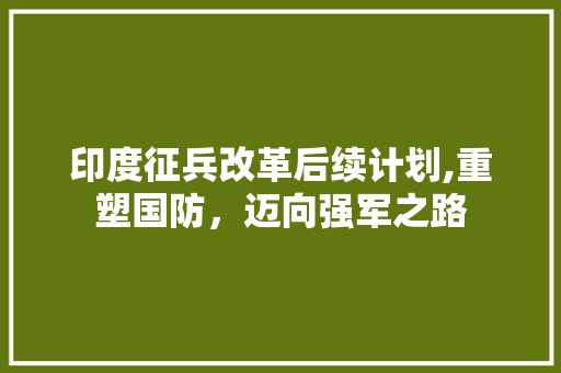 印度征兵改革后续计划,重塑国防，迈向强军之路