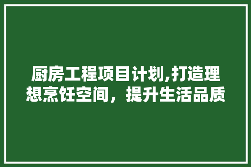 厨房工程项目计划,打造理想烹饪空间，提升生活品质