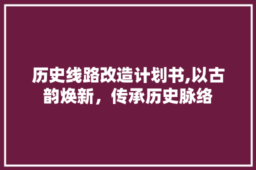 历史线路改造计划书,以古韵焕新，传承历史脉络