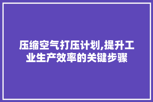 压缩空气打压计划,提升工业生产效率的关键步骤