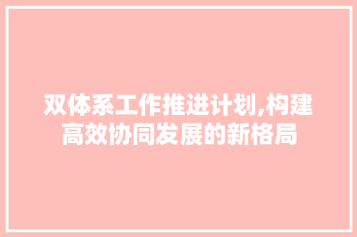 双体系工作推进计划,构建高效协同发展的新格局