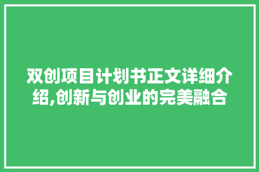 双创项目计划书正文详细介绍,创新与创业的完美融合