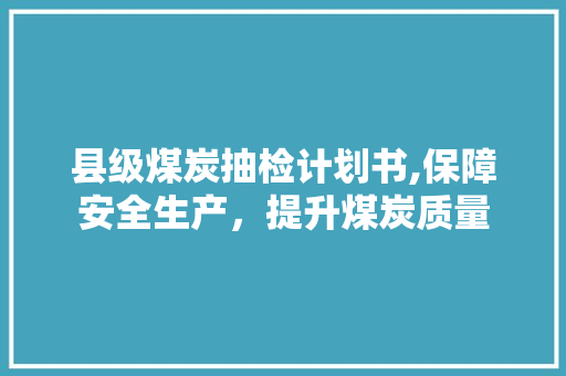 县级煤炭抽检计划书,保障安全生产，提升煤炭质量