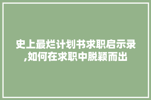 史上最烂计划书求职启示录,如何在求职中脱颖而出