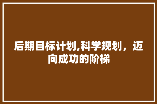 后期目标计划,科学规划，迈向成功的阶梯