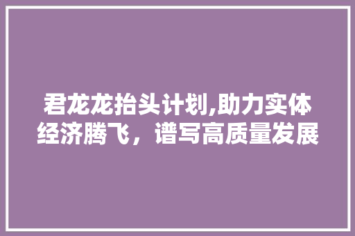 君龙龙抬头计划,助力实体经济腾飞，谱写高质量发展新篇章