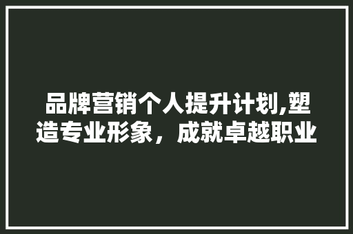 品牌营销个人提升计划,塑造专业形象，成就卓越职业发展