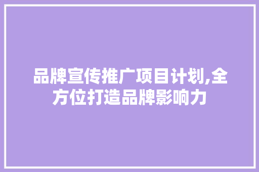 品牌宣传推广项目计划,全方位打造品牌影响力