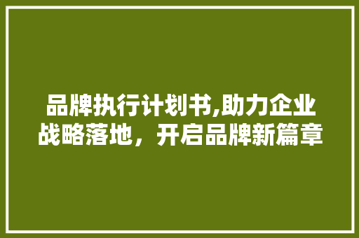 品牌执行计划书,助力企业战略落地，开启品牌新篇章