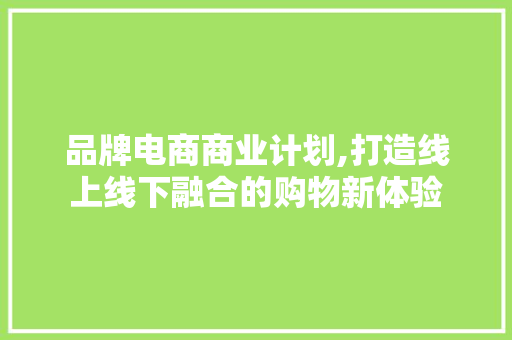 品牌电商商业计划,打造线上线下融合的购物新体验