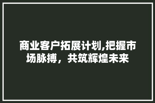 商业客户拓展计划,把握市场脉搏，共筑辉煌未来