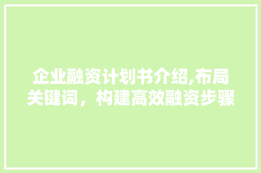 企业融资计划书介绍,布局关键词，构建高效融资步骤