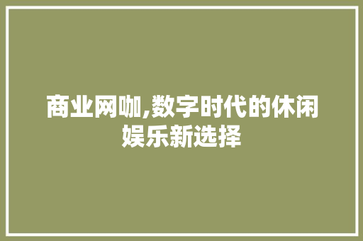 商业网咖,数字时代的休闲娱乐新选择