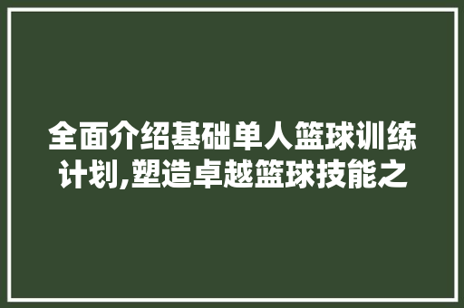 全面介绍基础单人篮球训练计划,塑造卓越篮球技能之路