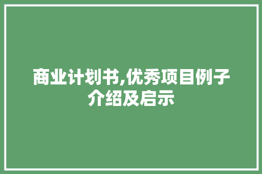 商业计划书,优秀项目例子介绍及启示