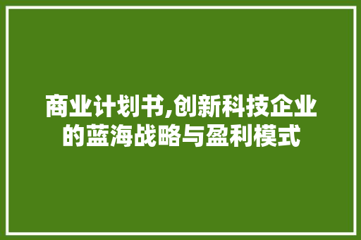 商业计划书,创新科技企业的蓝海战略与盈利模式