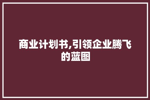 商业计划书,引领企业腾飞的蓝图