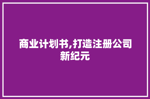 商业计划书,打造注册公司新纪元