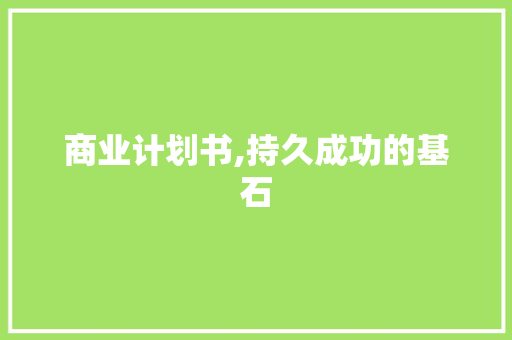 商业计划书,持久成功的基石