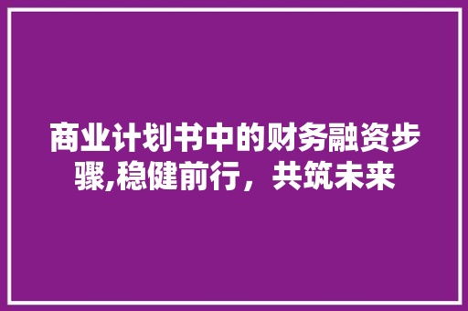 商业计划书中的财务融资步骤,稳健前行，共筑未来