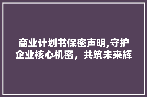 商业计划书保密声明,守护企业核心机密，共筑未来辉煌