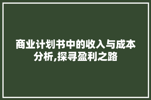 商业计划书中的收入与成本分析,探寻盈利之路