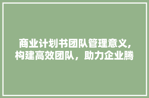 商业计划书团队管理意义,构建高效团队，助力企业腾飞