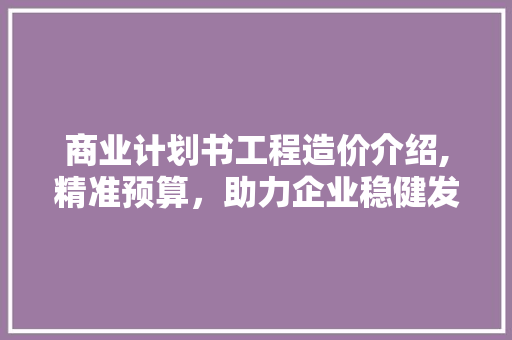 商业计划书工程造价介绍,精准预算，助力企业稳健发展 会议纪要范文