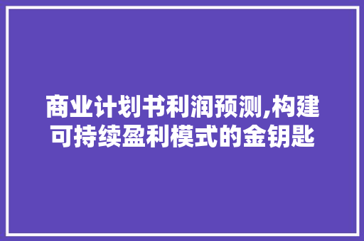 商业计划书利润预测,构建可持续盈利模式的金钥匙