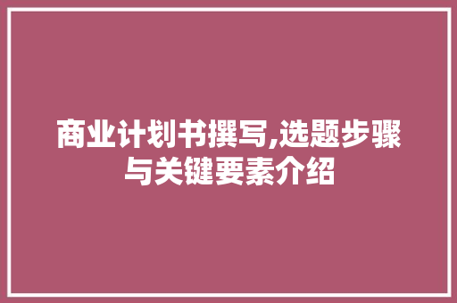 商业计划书撰写,选题步骤与关键要素介绍