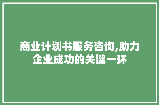 商业计划书服务咨询,助力企业成功的关键一环 申请书范文