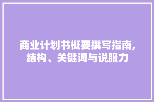 商业计划书概要撰写指南,结构、关键词与说服力