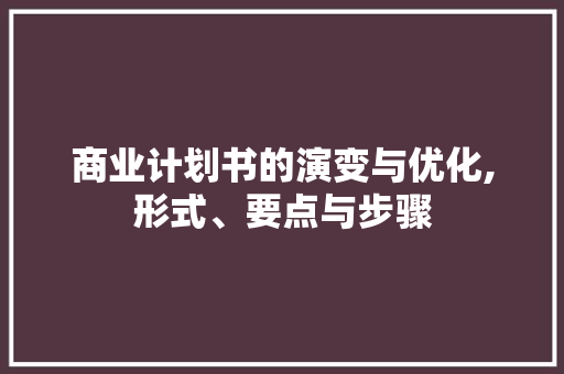 商业计划书的演变与优化,形式、要点与步骤