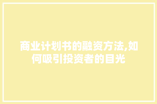 商业计划书的融资方法,如何吸引投资者的目光