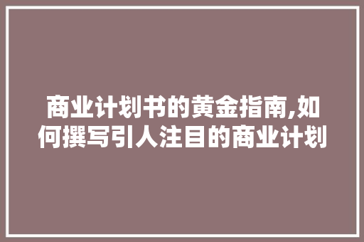 商业计划书的黄金指南,如何撰写引人注目的商业计划书