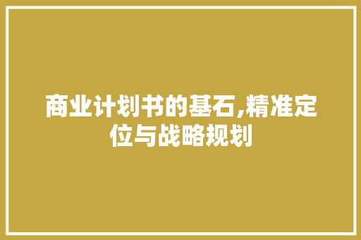 商业计划书的基石,精准定位与战略规划