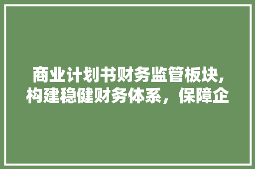 商业计划书财务监管板块,构建稳健财务体系，保障企业可持续发展