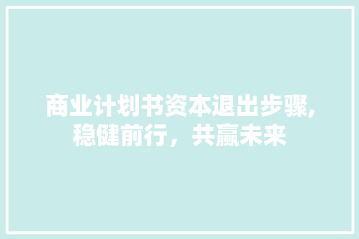 商业计划书资本退出步骤,稳健前行，共赢未来