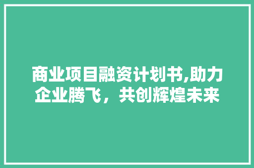 商业项目融资计划书,助力企业腾飞，共创辉煌未来