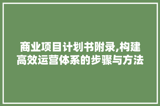 商业项目计划书附录,构建高效运营体系的步骤与方法 报告范文