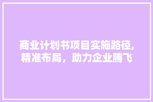 商业计划书项目实施路径,精准布局，助力企业腾飞