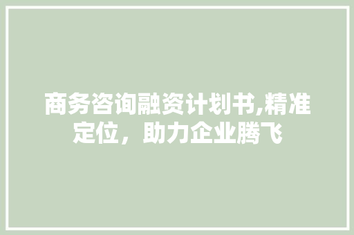 商务咨询融资计划书,精准定位，助力企业腾飞