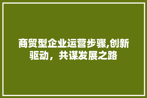 商贸型企业运营步骤,创新驱动，共谋发展之路 报告范文